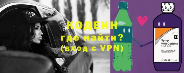 молекула духа Арсеньев