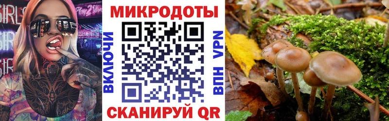 Купить закладки  Сковородино  Псилоцибиновые грибы GOLDEN TEACHER 